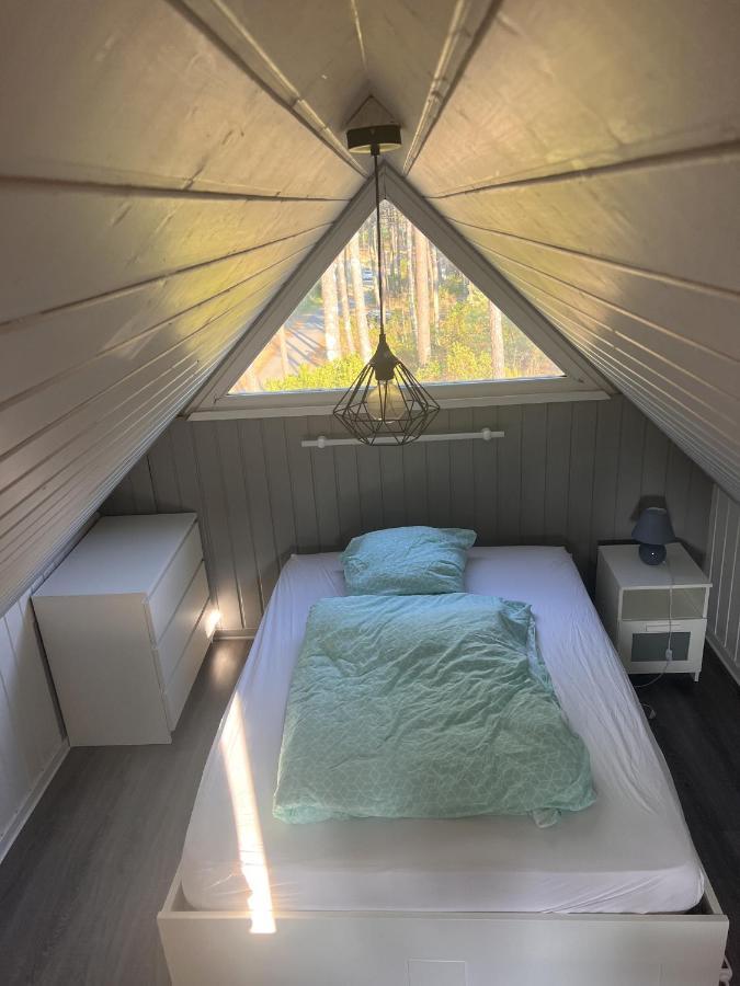 Chalet Du Bonheur - La Jenny Naturist Area Le Porge Eksteriør billede